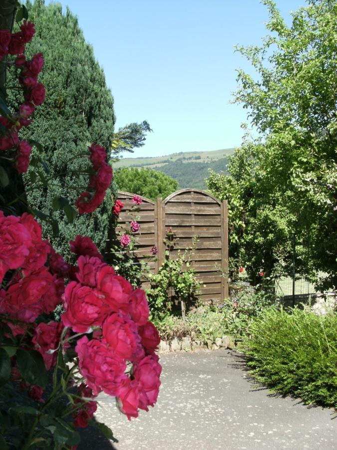 Chez Léontine Villa Vic-sur-Cère Exterior foto